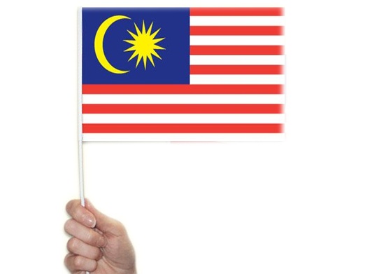 7233 Malaysia Hand Flag